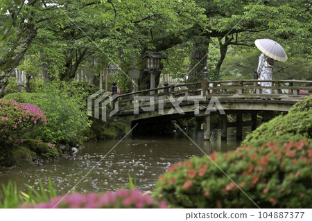 Kimono girls walking around Kenrokuen in the rain 104887377