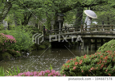 Kimono girls walking around Kenrokuen in the rain 104887378