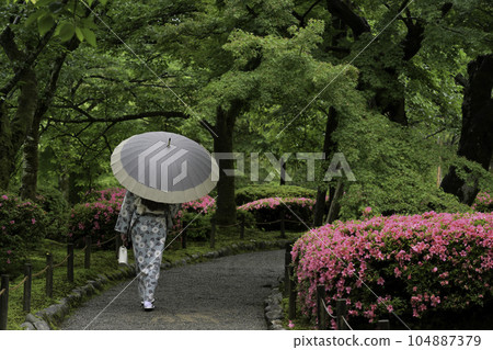 雨中漫步兼六園的和服女孩 104887379