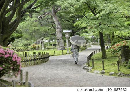 Kimono girls walking around Kenrokuen in the rain Kimono girls walking around Kenrokuen in the rain 104887382