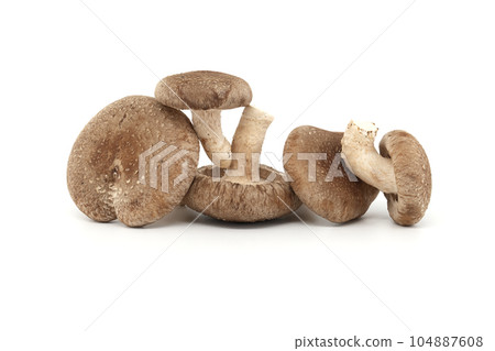 Fresh shiitake mushrooms over white background 104887608