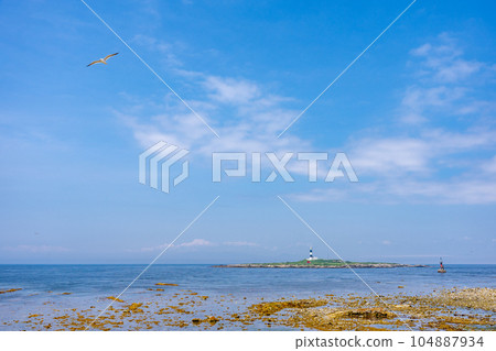 Tsugaru Strait, Omasaki Lighthouse, Benten Island, Omasaki, the northernmost tip of Honshu Tsugaru Strait, Omasaki Lighthouse, Benten Island, Omasaki, the northernmost tip of Honshu 104887934