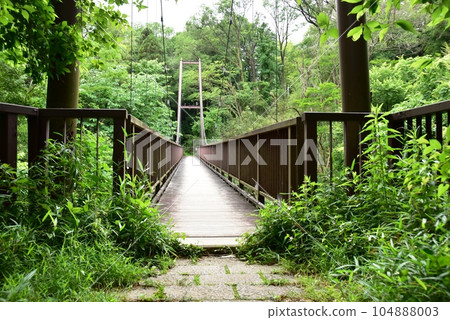 町田市都立小山田綠地梅久保支線吊橋 104888003