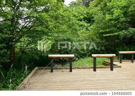 小山田綠地梅菊窪分所町田市淺座池 104888005