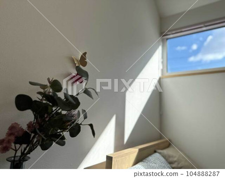 植物_透過樹木的陽光_1 植物_透過樹木的陽光_1 104888287