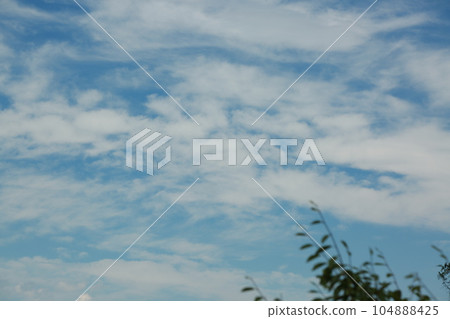 登上高尾山 登上高尾山 104888425