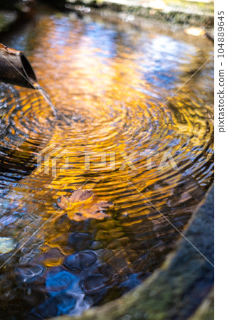 Autumn leaves of Mt. Daisen (around Daisenji Temple) 104889645