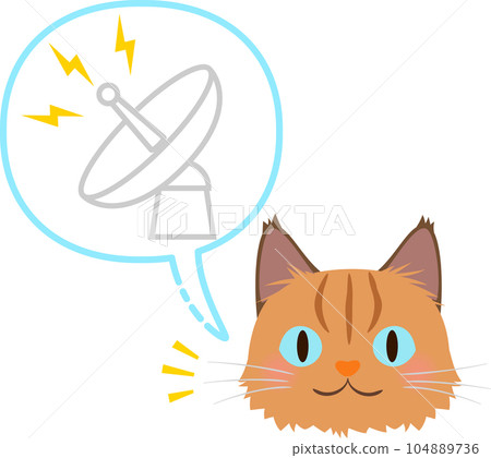 An image of a cat's whiskers and antenna 104889736