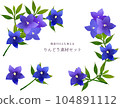 Watercolor style gentian flower material frame 104891112