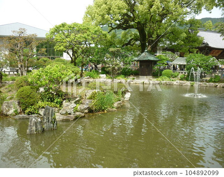 Shobu Pond at Dazaifu Tenmangu Shrine 104892099
