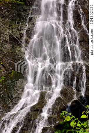 Fresh water of the fresh green Fresh water of the fresh green 104892136