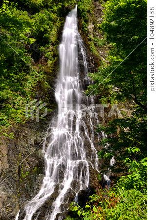 新鮮的綠色的淡水 104892138