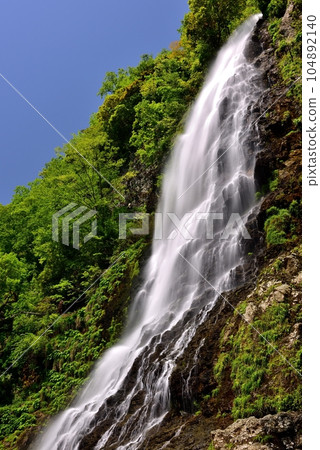 新鮮的綠色的淡水 104892140