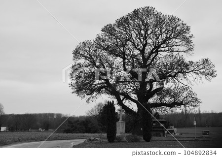 Grayscale shot of a majestic tree and monument on the edge of the field in Meerbusch, Germany Grayscale shot of a majestic tree and monument on the edge of the field in Meerbusch, Germany 104892834