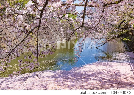 River with scattered cherry blossom petals Odawara Castle Ruins Park River with scattered cherry blossom petals Odawara Castle Ruins Park 104893070