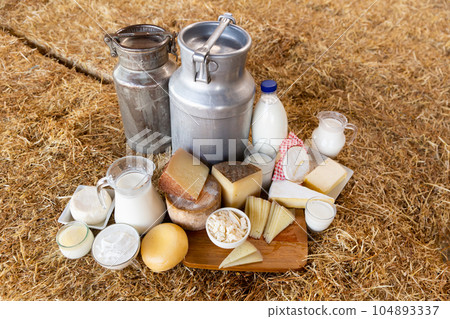Milk and different dairy products at cowshed Milk and different dairy products at cowshed 104893337