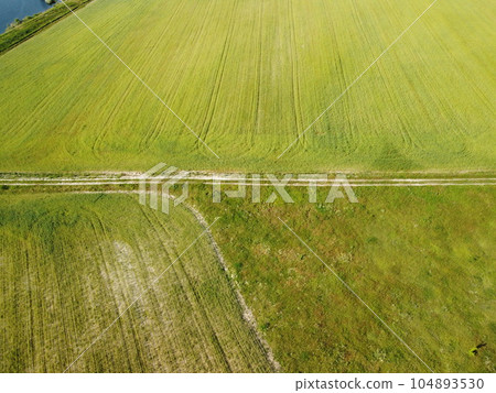 Aerial view on green wheat field in countryside. Field of wheat blowing in the wind like green sea. Young and green Spikelets. Ears of barley crop in nature. Agronomy, industry and food production. Aerial view on green wheat field in countryside. Field of wheat blowing in the wind like green sea. Young and green Spikelets. Ears of barley crop in nature. Agronomy, industry and food production. 104893530