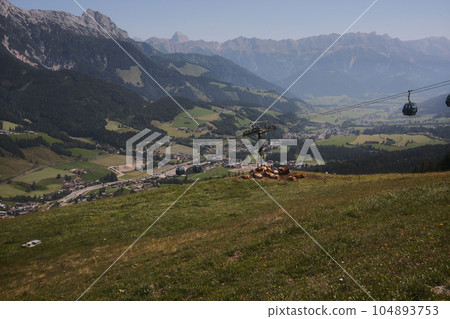 Beautiful scenic view of the Mountains with a cloudy sky and brown cows Beautiful scenic view of the Mountains with a cloudy sky and brown cows 104893753
