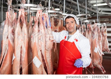 Male slaughterhouse worker showing mutton carcass in meat storage Male slaughterhouse worker showing mutton carcass in meat storage 104893768