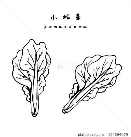 小松蔬菜線描 104894079