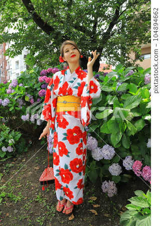 Hydrangea in full bloom and a foreign woman in a kimono 104894662