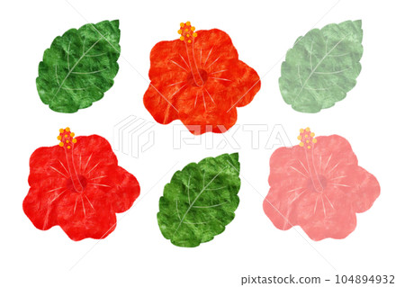 Hibiscus 104894932