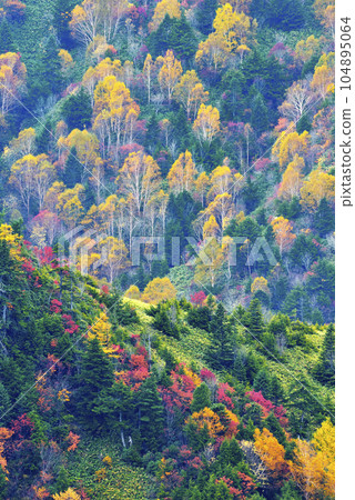 Shiga Kogen highlights Shiga Kogen highlights 104895064