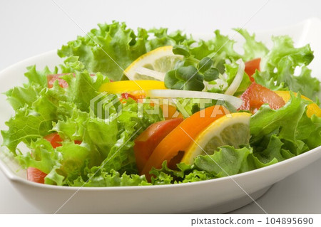 生蔬菜沙拉 104895690