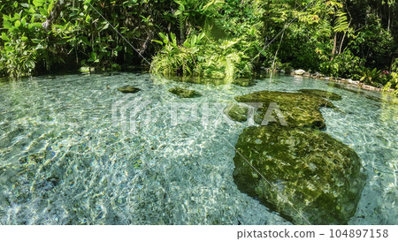 water surface stream and forest 104897158