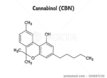 Cannabinol, or CBN, molecular structure. Cannabinol is mildly psychoactive cannabinoid extracted from cannabis. .Vector structural formula of chemical compound. Black pen Hand-drawn style. 104897230