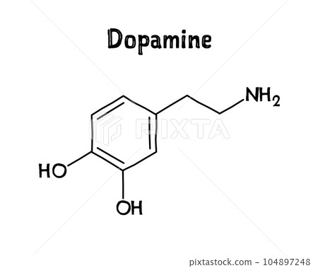 Dopamine molecular structure. Dopamine is neurotransmitter with important role in human body. .Vector structural formula of chemical compound. Black pen Hand-drawn style. 104897248