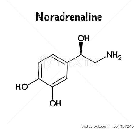 Noradrenaline molecular structure. Noradrenaline, or Norepinephrine, is neurotransmitter and hormone in human body. .Vector structural formula of chemical compound. Black pen Hand-drawn style. 104897249