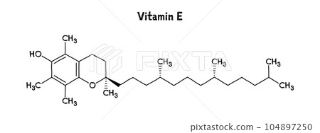Vitamin E molecular structure. Vitamin E is a fat-soluble, essential nutrient with anti-inflammatory properties. .Vector structural formula of chemical compound. Black pen Hand-drawn style. Vitamin E molecular structure. Vitamin E is a fat-soluble, essential nutrient with anti-inflammatory properties. .Vector structural formula of chemical compound. Black pen Hand-drawn style. 104897250
