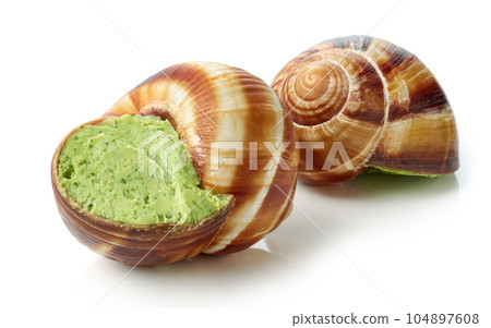 escargot snail filled with garlic and parsley butter escargot snail filled with garlic and parsley butter 104897608