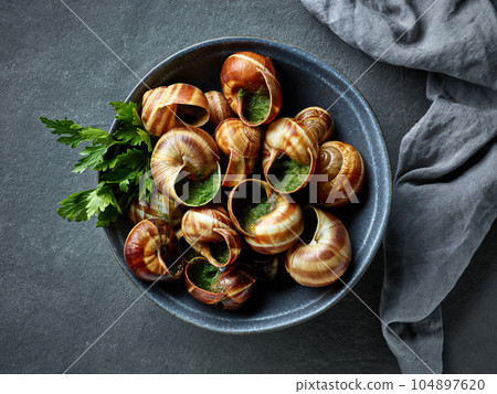 bowl of escargot snail filled with garlic and parsley butter bowl of escargot snail filled with garlic and parsley butter 104897620