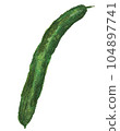 Hand-painted cucumber 104897741