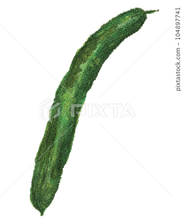 Hand-painted cucumber Hand-painted cucumber 104897741