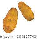 Hand-drawn potato 104897742