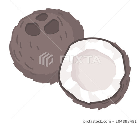Coconut poster in cartoon style, depicting whole and half, fresh juicy isolated on white background 104898481