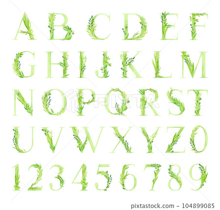 Alphabet Letter Decorated with Green Foliage and Leaf Vector Set Alphabet Letter Decorated with Green Foliage and Leaf Vector Set 104899085
