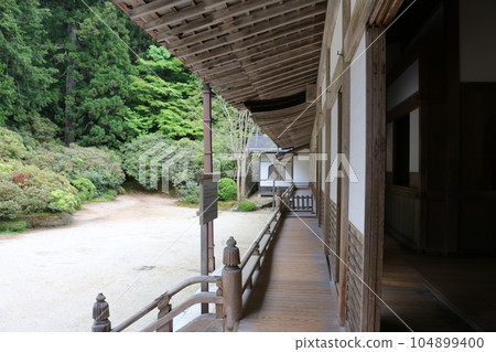 Koyasan Mountain Koyasan Mountain 104899400