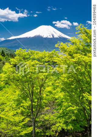 "Yamanashi Prefecture" Mt. Fuji in early summer, fresh green Nijumagari Pass "Yamanashi Prefecture" Mt. Fuji in early summer, fresh green Nijumagari Pass 104899468