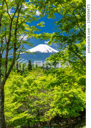 「山梨縣」初夏的富士山，新綠的二重曲峠 104899473