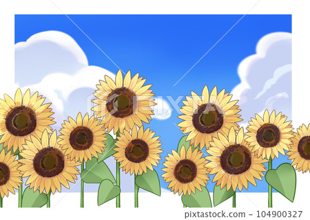 夏季向日葵田的景色 夏季向日葵田的景色 104900327