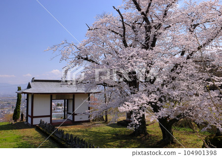 山梨縣南阿爾卑斯市上宮路:矗立在山上的大神山傳教院正門,俯瞰甲府盆地,染井吉野櫻盛開 山梨縣南阿爾卑斯市上宮路:矗立在山上的大神山傳教院正門,俯瞰甲府盆地,染井吉野櫻盛開 104901398