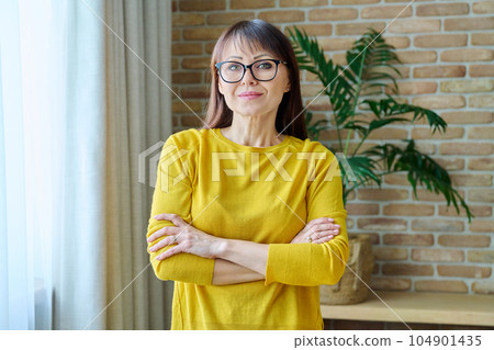 Portrait of positive confident middle aged woman at home Portrait of positive confident middle aged woman at home 104901435