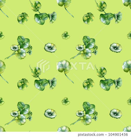 Centella asiatica, geranium watercolor seamless pattern isolated on green. Pennywort, gotu kola, rounded leaves, herbal plants hand drawn. Design for package, label, wrapping, textile, background Centella asiatica, geranium watercolor seamless pattern isolated on green. Pennywort, gotu kola, rounded leaves, herbal plants hand drawn. Design for package, label, wrapping, textile, background 104901436