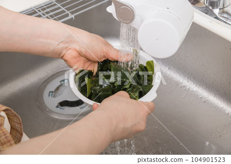 [Housewife washing raw seaweed] 104901523