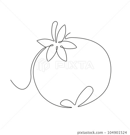 Tomato in continuous line art drawing style. Whole tomato minimalist black linear sketch isolated on white background. Vector illustration 104901524