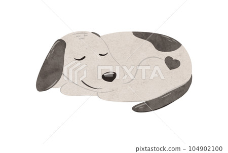 Cute puppy Stabyhoun with a heart sleeps. Digital hand drawn illustration with a small baby dog for textile design, poster, postcard. Cartoon style character drawing for printing on an isolated Cute puppy Stabyhoun with a heart sleeps. Digital hand drawn illustration with a small baby dog for textile design, poster, postcard. Cartoon style character drawing for printing on an isolated 104902100
